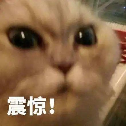 桶装纯净水设备_桶装纯净水全套设备_桶装纯净水设备多少钱一套