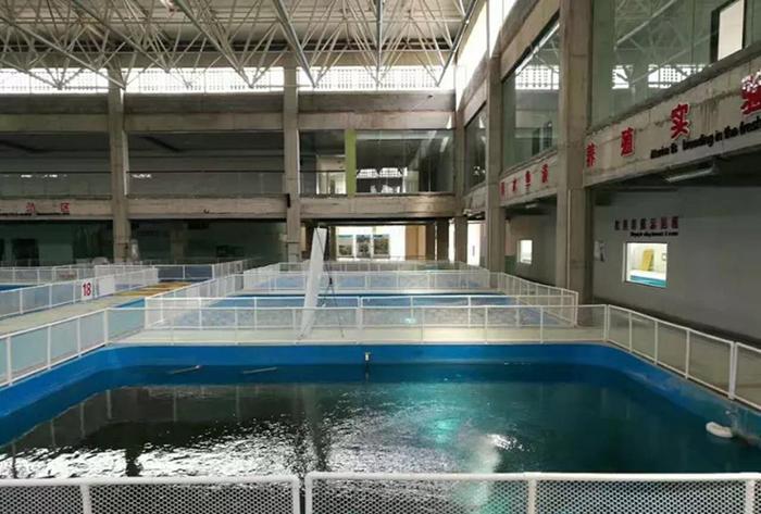泳池净化设备多少钱_泳池水净化系统_泳池净化水设备